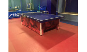 Теннисный стол прфессиональный SAN-EI IF-VERIC-CENTEROLD, ITTF синий